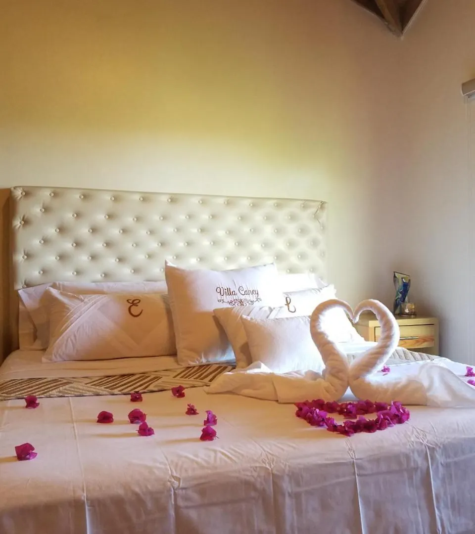 El Caney Hotel Jarabacoa Villa