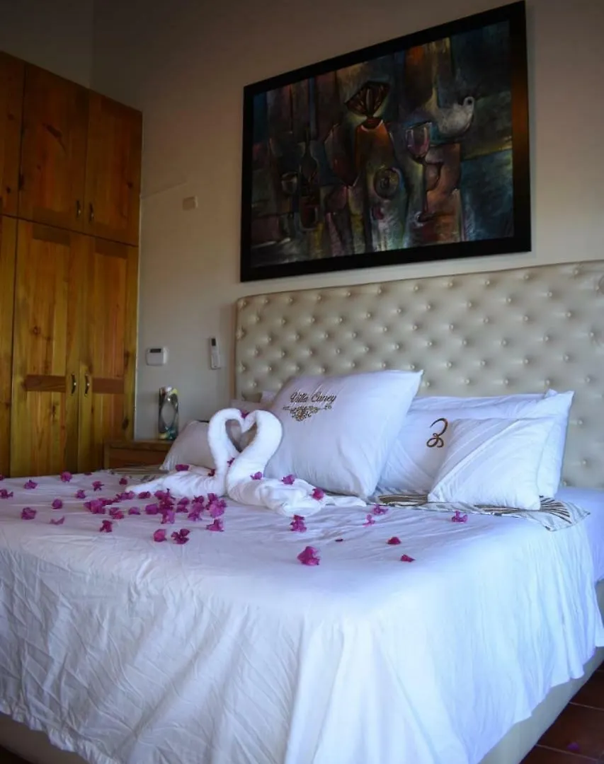 Villa El Caney Hotel Jarabacoa